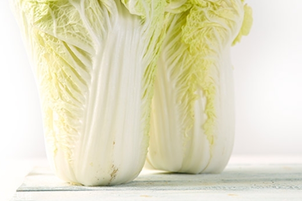 大白菜能和蝦一起吃嗎 可以這樣搭配 大白菜能和蝦一起吃嗎 可以這樣搭配