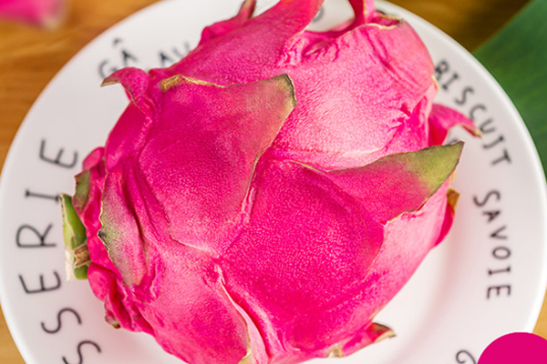 火龍果長(zhǎng)的好不好 肚子大的才好 火龍果長(zhǎng)的好不好 肚子大的才好