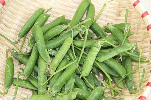 豌豆會過敏嗎 正常情況下不會 豌豆會過敏嗎 正常情況下不會