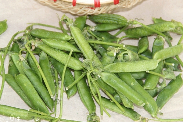 豌豆怎么挑 按照這個方法來 豌豆怎么挑 按照這個方法來