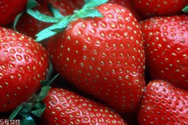 草莓是最臟的水果嗎 別再誣賴草莓啦 草莓是最臟的水果嗎 別再誣賴草莓啦