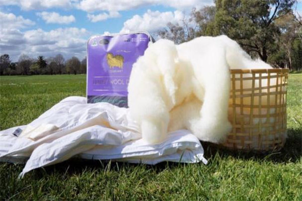 澳洲羊毛被多少錢 根據(jù)被子重量來定 澳洲羊毛被多少錢 根據(jù)被子重量來定