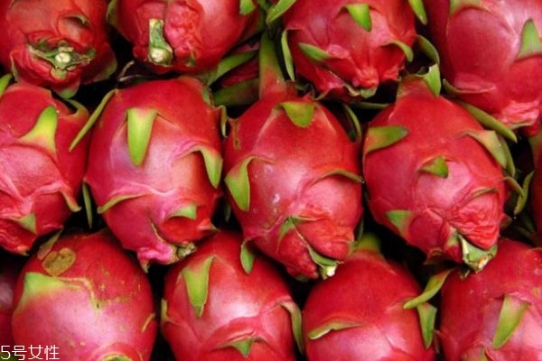 火龍果對便秘有幫助嗎 有一定的幫助 火龍果對便秘有幫助嗎 有一定的幫助