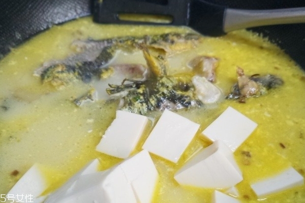 魚湯要熬多久才變白 幾分鐘就變白 魚湯要熬多久才變白 幾分鐘就變白