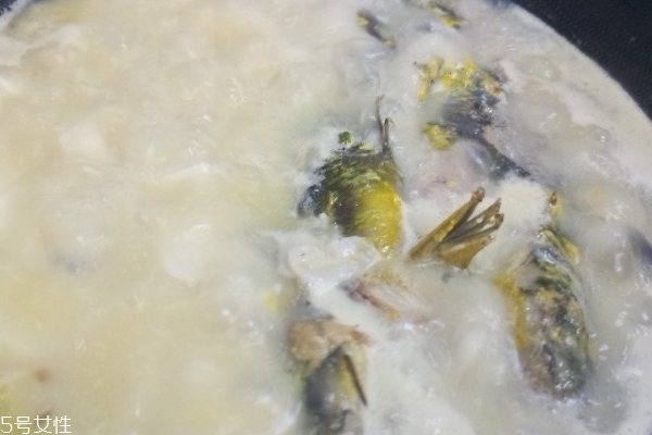 魚湯要熬多久才變白 幾分鐘就變白 魚湯要熬多久才變白 幾分鐘就變白