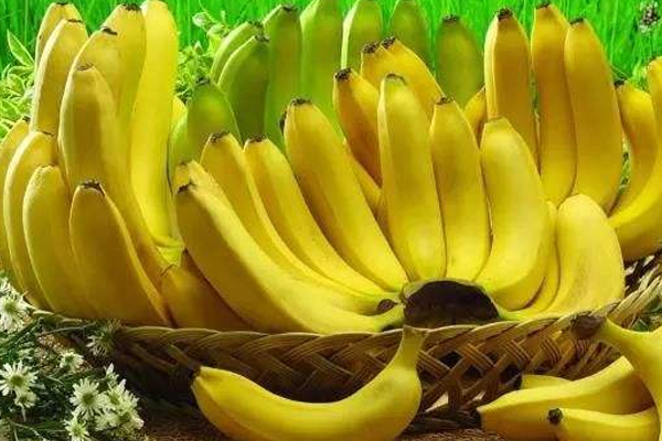 香蕉帶麻點好嗎 人工催熟無麻點 香蕉帶麻點好嗎 人工催熟無麻點