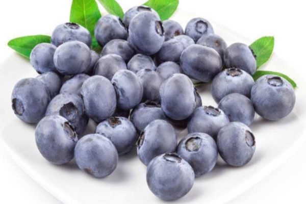 孕婦能吃藍莓嗎 來月經可以吃藍莓嗎 孕婦能吃藍莓嗎 來月經可以吃藍莓嗎