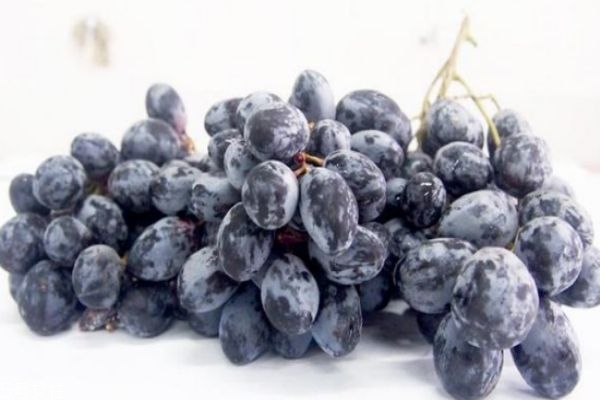 黑加侖和葡萄的區(qū)別 黑加侖的功效和作用 黑加侖和葡萄的區(qū)別 黑加侖的功效和作用