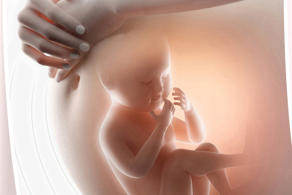 胎心發(fā)育會(huì)有什么癥狀 4種反常別緊張 胎心發(fā)育會(huì)有什么癥狀 4種反常別緊張