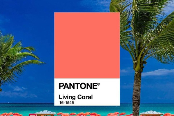 珊瑚橘色是什么顏色 珊瑚橘色什么寓意 珊瑚橘色是什么顏色 珊瑚橘色什么寓意