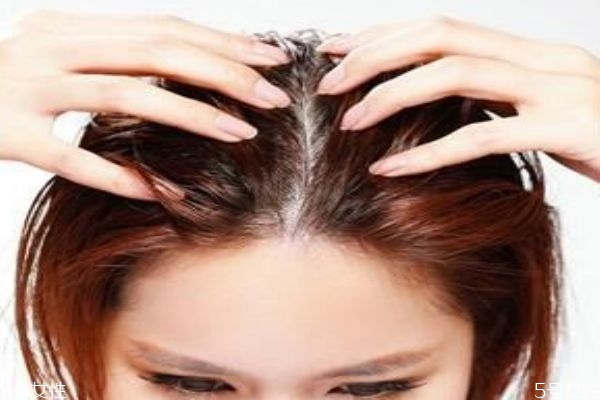 焗油膏和護發(fā)素的區(qū)別 焗油膏是深層滋養(yǎng) 焗油膏和護發(fā)素的區(qū)別 焗油膏是深層滋養(yǎng)