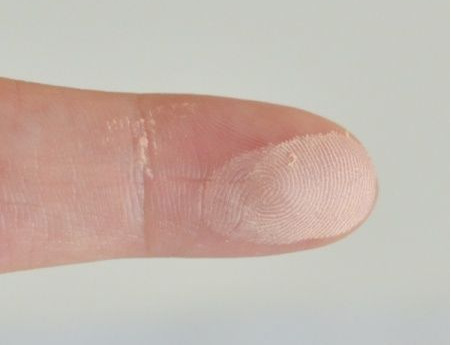 canmake棉花糖粉餅色號有幾種？canmake棉花糖粉餅ml mo對比