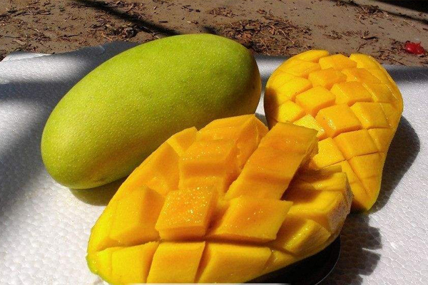 芒果果皮長黑斑能吃嗎 口感發(fā)酸不好吃 芒果果皮長黑斑能吃嗎 口感發(fā)酸不好吃