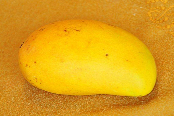 芒果果皮長黑斑能吃嗎 口感發(fā)酸不好吃 芒果果皮長黑斑能吃嗎 口感發(fā)酸不好吃