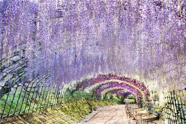 一生必去的15個(gè)旅游景點(diǎn) 絕世美景等著你 一生必去的15個(gè)旅游景點(diǎn) 絕世美景等著你