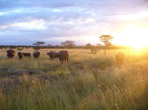 一生必去的15個(gè)旅游景點(diǎn) 絕世美景等著你 一生必去的15個(gè)旅游景點(diǎn) 絕世美景等著你
