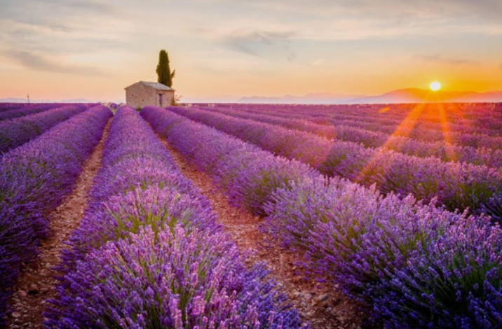 一生必去的15個(gè)旅游景點(diǎn) 絕世美景等著你 一生必去的15個(gè)旅游景點(diǎn) 絕世美景等著你