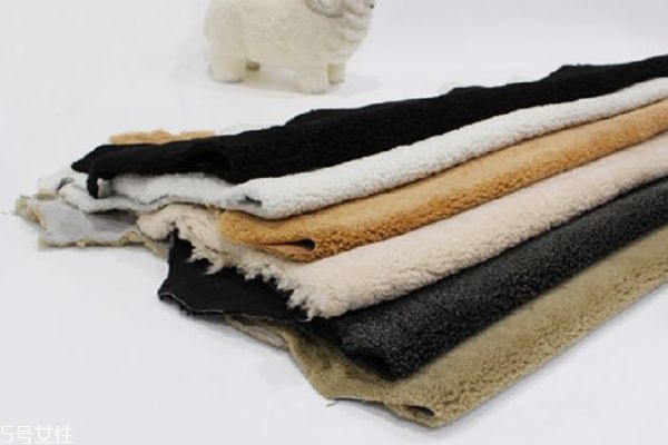 羊羔毛是什么成分 小羊羔身上的毛 羊羔毛是什么成分 小羊羔身上的毛