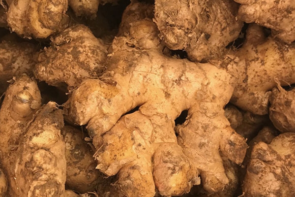 姜湯可以和藥一起喝嗎 不建議這么做 姜湯可以和藥一起喝嗎 不建議這么做