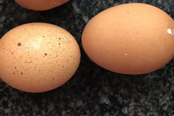 ?沙拉是什么味道 水果加蔬菜 ?沙拉是什么味道 水果加蔬菜