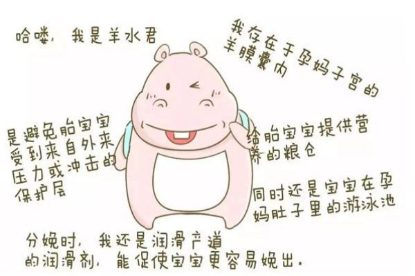 孕婦羊水多好不好 喝水多會導致羊水多嗎 孕婦羊水多好不好 喝水多會導致羊水多嗎