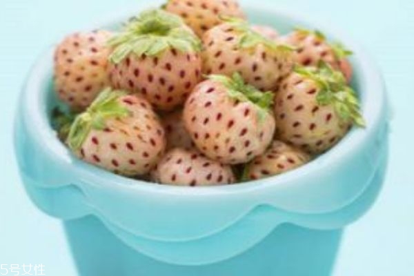 白色草莓叫什么 白色草莓多少錢(qián)一斤 白色草莓叫什么 白色草莓多少錢(qián)一斤