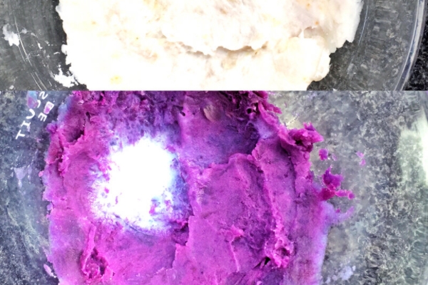 酸奶可以澆花嗎 是一種好肥料 酸奶可以澆花嗎 是一種好肥料