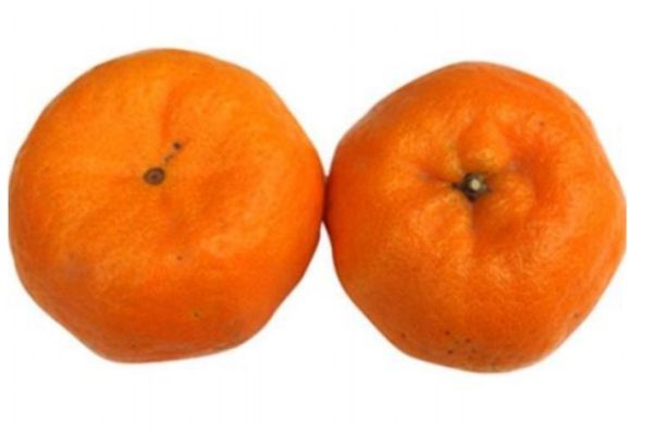 蘆柑是上火還是下火 蘆柑是什么 蘆柑是上火還是下火 蘆柑是什么