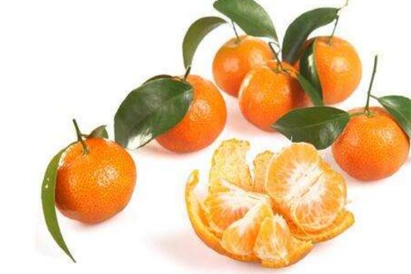 蘆柑吃多了會(huì)上火嗎 食用蘆柑不會(huì)上火 蘆柑吃多了會(huì)上火嗎 食用蘆柑不會(huì)上火