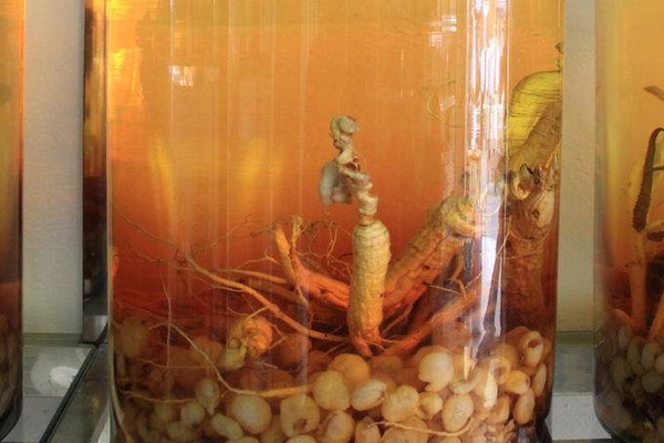 藥酒能壯陽嗎 看是什么藥酒 藥酒能壯陽嗎 看是什么藥酒