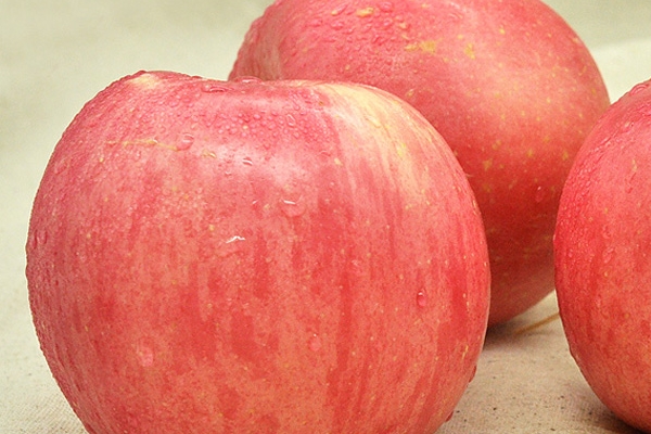 紅富士是日本的嗎 源于日本 紅富士是日本的嗎 源于日本