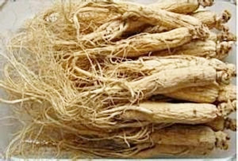 人參的種類有哪些 常見(jiàn)的三種人參 人參的種類有哪些 常見(jiàn)的三種人參