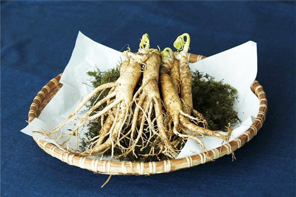 買人參怎么挑選 人參等級(jí)與外觀 買人參怎么挑選 人參等級(jí)與外觀