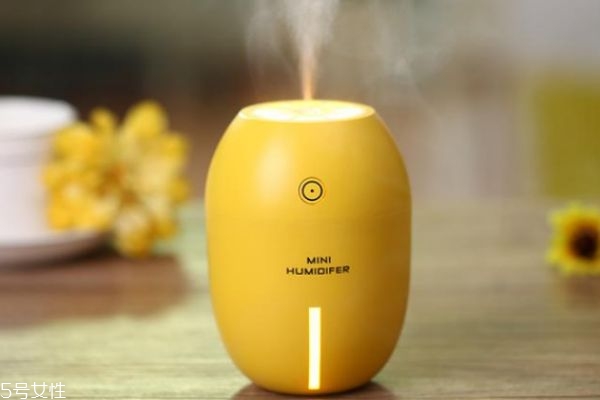 加濕器里可以放醋嗎 加濕器加醋能預(yù)防感冒嗎 加濕器里可以放醋嗎 加濕器加醋能預(yù)防感冒嗎