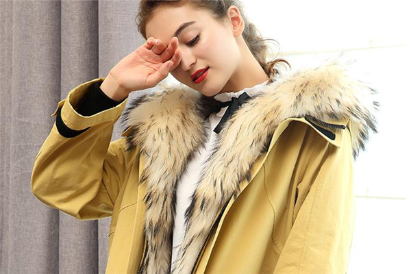 貉子毛皮草市場價格 多在千元以上 貉子毛皮草市場價格 多在千元以上