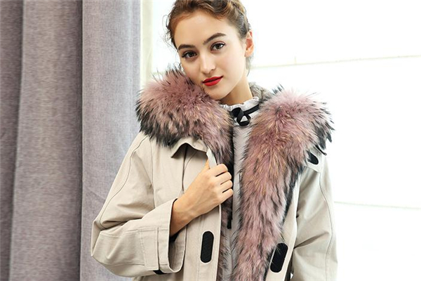 貉子毛皮草市場價格 多在千元以上 貉子毛皮草市場價格 多在千元以上