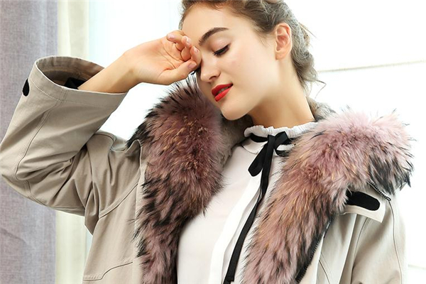 貉子毛皮草市場價格 多在千元以上 貉子毛皮草市場價格 多在千元以上