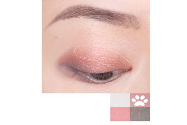 suqqu四色眼影118畫(huà)法 suqqu眼影118朱夏 suqqu四色眼影118畫(huà)法 suqqu眼影118朱夏