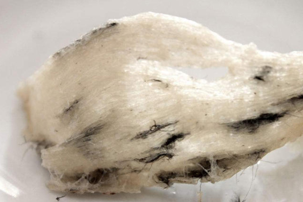 草燕窩能不能吃 草燕窩是什么樣子圖片 草燕窩能不能吃 草燕窩是什么樣子圖片