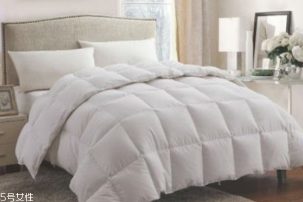 磨毛被套是什么面料 磨毛被套怎么樣 磨毛被套是什么面料 磨毛被套怎么樣