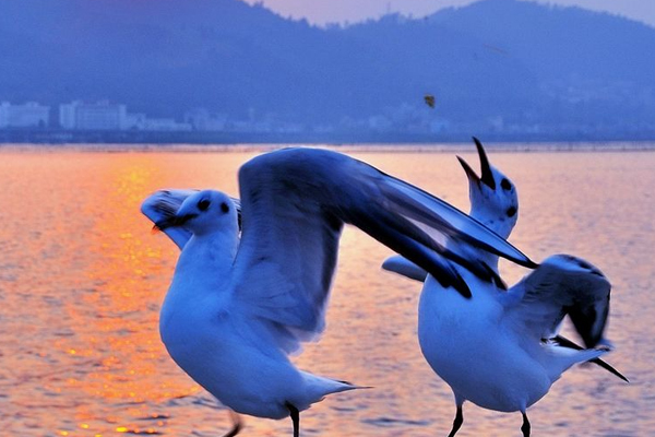 古代最流行的九中養(yǎng)生方法你知道嗎? 古代最流行的九中養(yǎng)生方法你知道嗎?