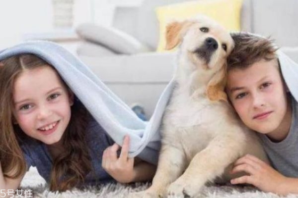 懷孕能養(yǎng)狗嗎 懷孕養(yǎng)狗注意事項(xiàng) 懷孕能養(yǎng)狗嗎 懷孕養(yǎng)狗注意事項(xiàng)