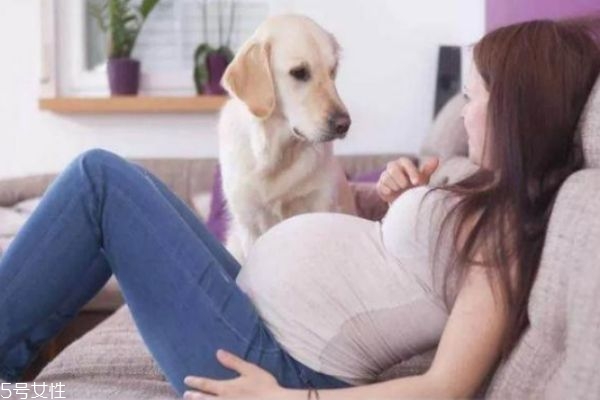 懷孕能養(yǎng)狗嗎 懷孕養(yǎng)狗注意事項(xiàng) 懷孕能養(yǎng)狗嗎 懷孕養(yǎng)狗注意事項(xiàng)