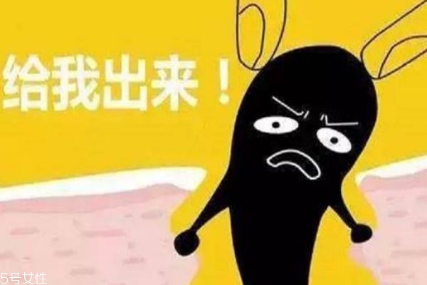 黑頭導(dǎo)出液的危害 黑頭導(dǎo)出液不能徹底清除黑頭 黑頭導(dǎo)出液的危害 黑頭導(dǎo)出液不能徹底清除黑頭