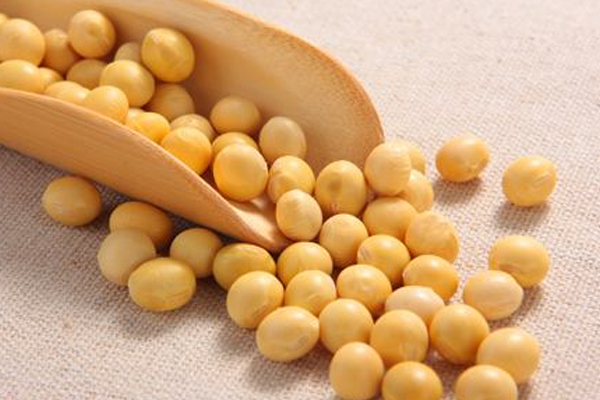 黃豆怎么挑選 黃豆選購注意事項 黃豆怎么挑選 黃豆選購注意事項