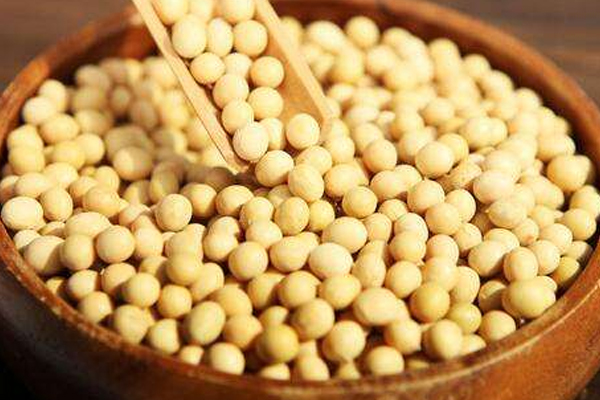 黃豆怎么挑選 黃豆選購注意事項 黃豆怎么挑選 黃豆選購注意事項