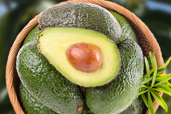 牛油果什么顏色的好 牛油果熟了什么顏色 牛油果什么顏色的好 牛油果熟了什么顏色