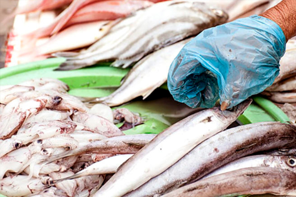 如何判斷三文魚是否新鮮 三文魚新鮮判斷方法 如何判斷三文魚是否新鮮 三文魚新鮮判斷方法