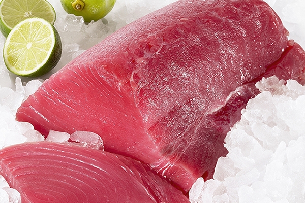 金槍魚是三文魚嗎 不是一種魚 金槍魚是三文魚嗎 不是一種魚