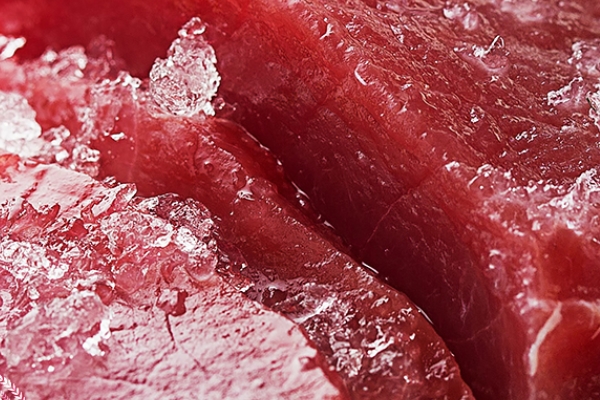 金槍魚是海魚嗎 是美味的海鮮 金槍魚是海魚嗎 是美味的海鮮